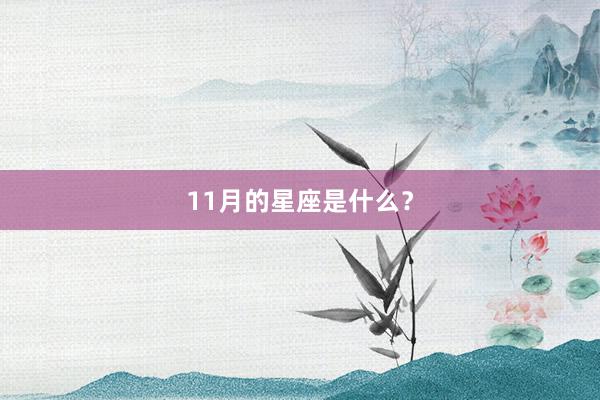 11月的星座是什么？