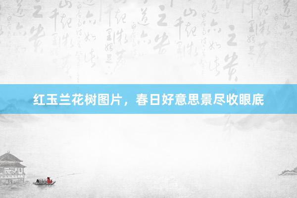 红玉兰花树图片，春日好意思景尽收眼底